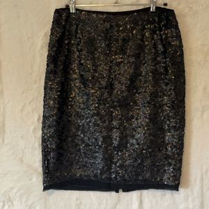 Sequin Skirt